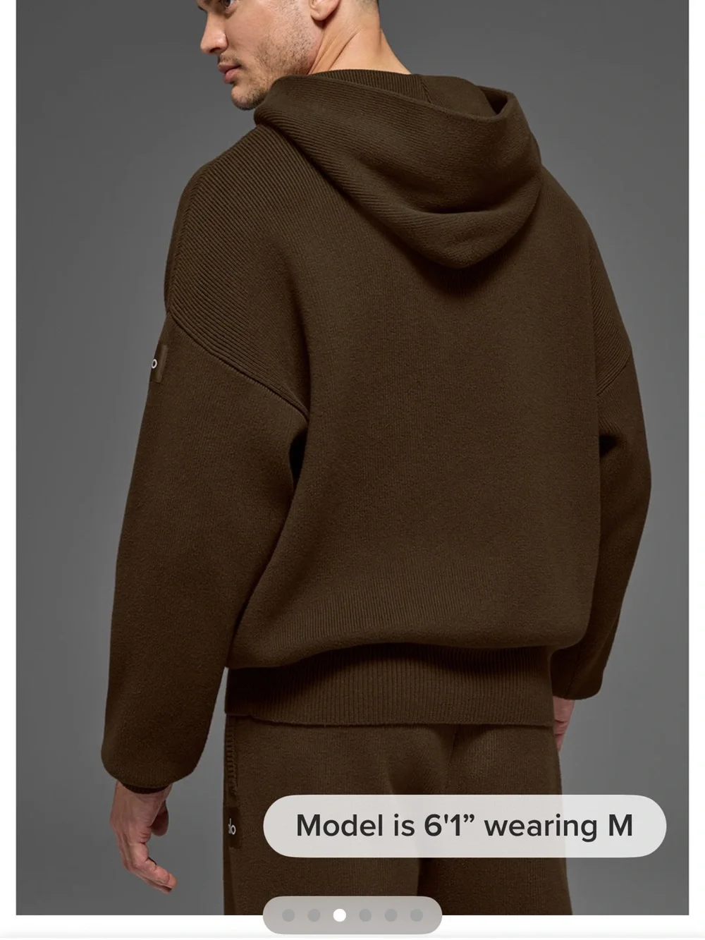 ALO Yoga Oversized Knit Hoodie in Dark Brown